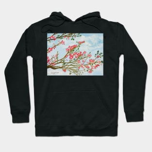 silk floss tree flowers art print Hoodie